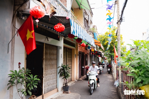 Hoa huỳnh liên nở rộp sắc vàng dọc tuyến đường ray xe lửa tại TP.HCM - Ảnh 8. Ngắm hoa huỳnh liên nở rợp sắc vàng dọc các đường ray xe lửa tại TP.HCM - Ảnh 8.