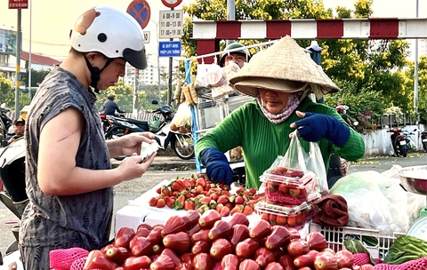 Đầu năm lại thiếu lao động: Tuyển nhiều, người tìm việc không bao nhiêu - Ảnh 1. Đầu năm lại thiếu lao động: Tuyển nhiều, người tìm việc không bao nhiêu - Ảnh 1.