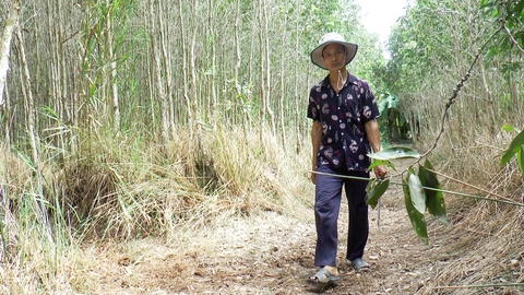 Cà Mau: Làm đường băng cản lửa, dọn kênh rạch hơn 330km để phòng cháy, chữa cháy rừng - Ảnh 5.