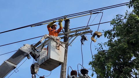 Gió giật mạnh khiến nhiều cây xanh ở Trà Vinh ngã đổ - Ảnh 2.