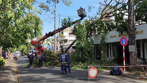 Gió giật mạnh khiến nhiều cây xanh ở Trà Vinh ngã đổ - Ảnh 1.