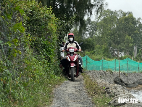 Sống ở TP Quảng Ngãi mà gần nửa thế kỷ trăm người phải đi lại trên bờ hồ - Ảnh 1.