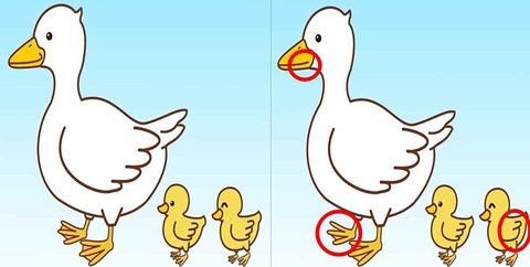 Thử tài tinh mắt: Bạn thấy bao nhiêu con vật trong hình? - Ảnh 1.