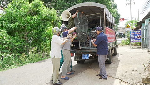 Bao giờ mới hết thót tim vì chó thả rông? - Ảnh 1. Bao giờ mới hết thót tim vì chó thả rông? - Ảnh 1.