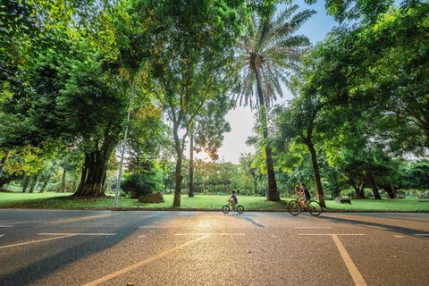 Ecopark ra mắt ‘khu rừng’ retreat tại miền Nam - Eco Retreat - Ảnh 8.