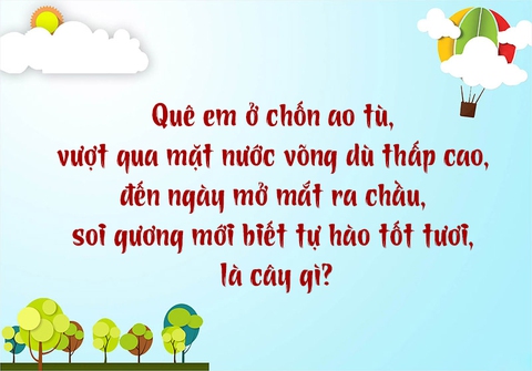 Con gì có cánh mà không biết bay? - Ảnh 3.