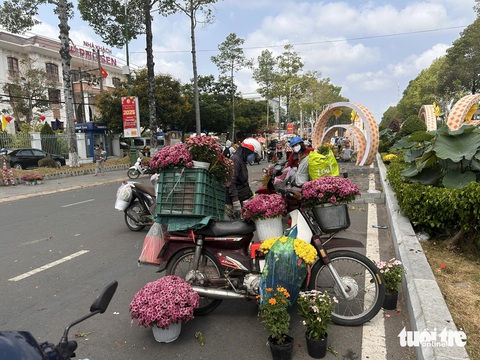 Hàng trăm người mang hoa về nhà trong ngày tháo dỡ Đường hoa xuân Cao Lãnh - Ảnh 1.