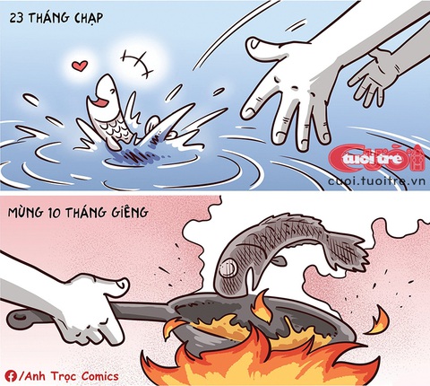 Số phận của những chú cá ngày Thần Tài và ngày ông Táo - Ảnh 1.
