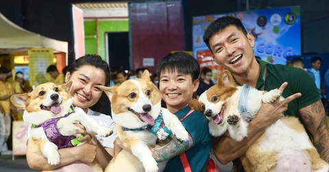 Lễ hội quốc tế thú cưng Việt Nam 2025: Chó là bạn, không phải thức ăn - Ảnh 1. Lễ hội quốc tế thú cưng Việt Nam 2025: Chó là bạn, không phải thức ăn - Ảnh 1.