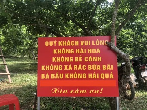 Khách rung cây mận để chụp ảnh: chắc không nhớ bài ‘bông hoa này là của chung’ - Ảnh 2. Khách rung cây mận để chụp ảnh: chắc không nhớ bài ‘bông hoa này là của chung’ - Ảnh 2.