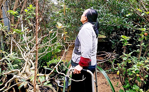 Thưa mẹ, con đi - Ảnh 1. Thưa mẹ, con đi - Ảnh 1.