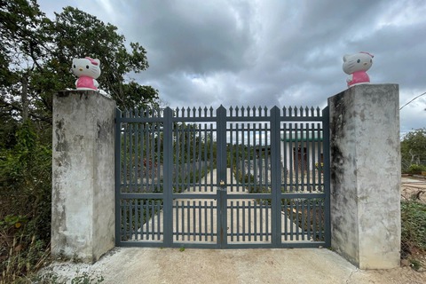 Ảnh vui 1-3: 'Nhờ Hello Kitty trấn cửa là uy tín rồi' - Ảnh 1.