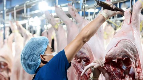 TP.HCM tăng cường các biện pháp ứng phó tăng giá thịt heo - Ảnh 1.