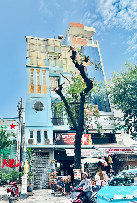 TP.HCM nắng 'muốn bể đầu' sao lại cắt trụi cây xanh? - Ảnh 4.