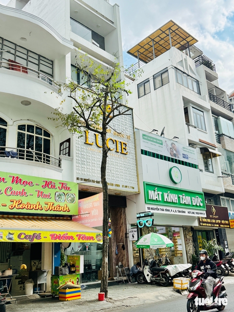 TP.HCM nắng 'muốn bể đầu' sao lại cắt trụi cây xanh? - Ảnh 6.