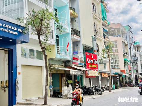 TP.HCM đang nắng nóng sao lại cắt trụi lủi cây xanh? - Ảnh 7.