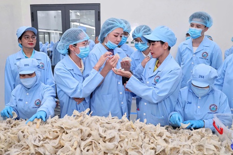 Đưa “vàng trắng” Việt Nam chinh phục thế giới - Ảnh 3.