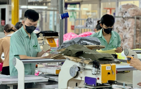 Tình hình thị trường lao động tại TP.HCM