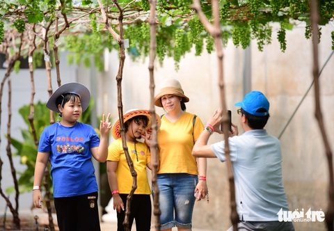 Cuối tuần, trải nghiệm vườn nho, nông trại xanh giữa lòng thành phố - Ảnh 4.