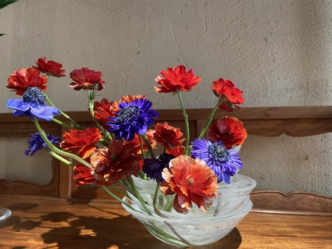 Mê mẩn vườn hoa Ikebana đầy ‘khí chất’ của nghệ nhân Đỗ Thị Thu Phượng - Ảnh 10. Lạc vào thế giới Ikebana ‘Nhất khí nhất hoa’ - Ảnh 10.