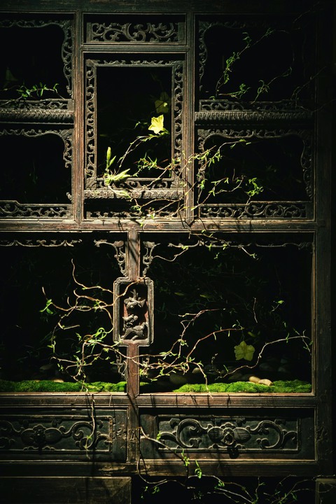 Mê mẩn vườn hoa Ikebana đầy ‘khí chất’ của nghệ nhân Đỗ Thị Thu Phượng - Ảnh 4. Mê mẩn vườn hoa Ikebana đầy ‘khí chất’ của nghệ nhân Đỗ Thị Thu Phượng - Ảnh 4.