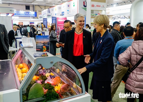 Người Việt ăn 24.000 tấn cá hồi Na Uy trong năm 2024 - Ảnh 1. Người Việt chi 6.300 tỉ đồng mua cá hồi, cua hoàng đế, cá saba.. từ Na Uy trong năm 2024 - Ảnh 1.