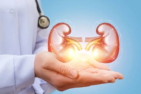 Trung Quốc ghép thành công thận heo cho người, mang lại hy vọng cho hàng triệu bệnh nhân - Ảnh 1. Trung Quốc cấy ghép thành công thận heo cho người, mang lại hy vọng cho hàng triệu bệnh nhân - Ảnh 1.