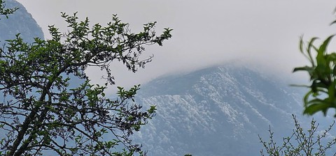Giữa tháng 3 Tà Xùa băng giá - Ảnh 1. Giữa tháng 3 Tà Xùa băng giá - Ảnh 1.