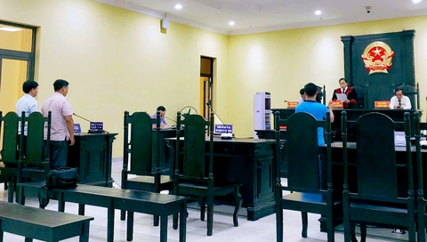 Cụ bà 93 tuổi ở Cà Mau thắng kiện chủ tịch và UBND huyện cấp đất sai phạm - Ảnh 1.