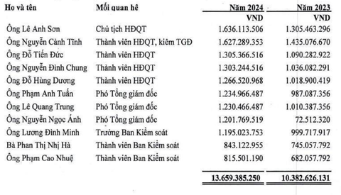 Tổng công ty Hàng Hải Việt Nam lãi đột biến, hé lộ thu nhập dàn lãnh đạo - Ảnh 2.