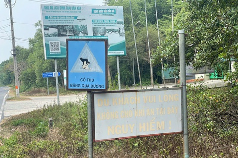 Cần Giờ - Ảnh 4.