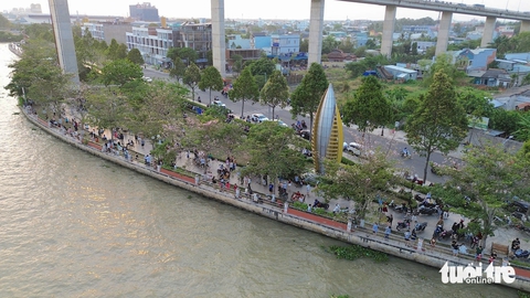 Người dân thích thú với hàng hoa kèn hồng bên dòng sông Tiền - Ảnh 8.