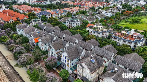 Bao giờ đến thời điểm đánh thuế biệt thự triệu đô bỏ hoang? - Ảnh 2.
