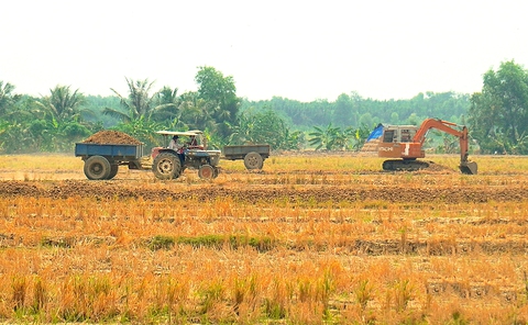 Xử phạt xe chở đất mặt ruộng trong vùng ngọt hóa Gò Công - Ảnh 1.