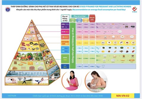 Tuổi nào ăn gì? - Ảnh 6. 6 'tháp dinh dưỡng' hướng dẫn người Việt tuổi nào ăn gì, bạn đã ăn đúng? - Ảnh 7.