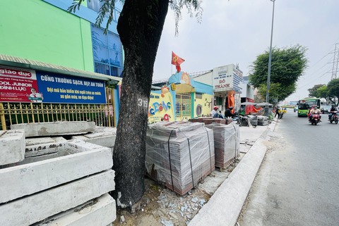 Đào vỉa hè phải giữ bộ rễ cây xanh - Ảnh 1. đào vỉa hè - Ảnh 1.