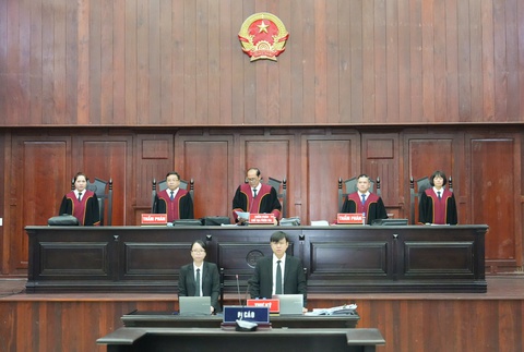 Trương Mỹ Lan - Ảnh 1.
