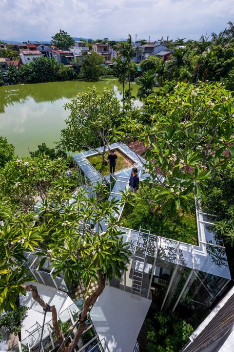 Ngôi nhà của 'những người bạn thực vật' ở Huế trên tạp chí kiến trúc thế giới - Ảnh 3.