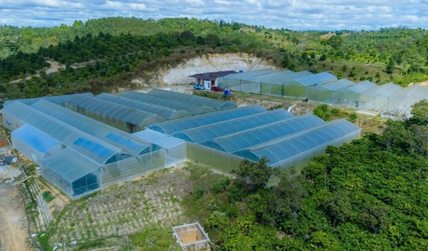 FarmStay - Ảnh 4.