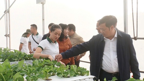 FarmStay - Ảnh 3.