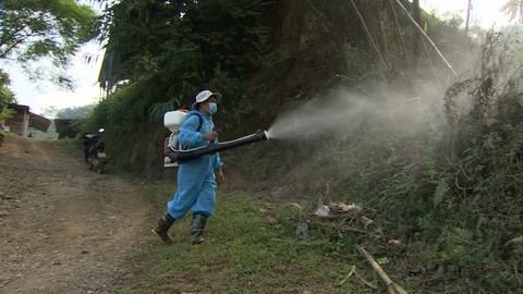 Dengue - Ảnh 3.