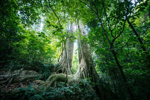 Cát Bà - Ảnh 2.