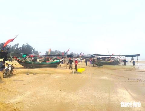Ngư dân trúng đậm mùa cá trích theo bầy đẻ trứng - Ảnh 1.