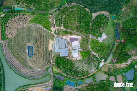 farmstay - Ảnh 1.