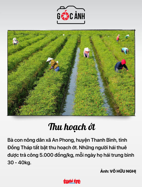 nhà ở xã hội - Ảnh 6.