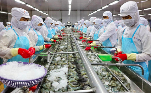 Vợ chồng 'vua tôm' Minh Phú nhận cổ tức hơn 101 tỉ đồng, kiểm toán ghi nhận rủi ro thuế - Ảnh 1.