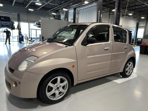 Xe thuộc diện dị nhất của Toyota được rao bán - Ảnh 1.
