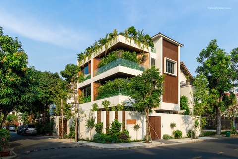 Hoàng Mỹ SG - Ảnh 1.