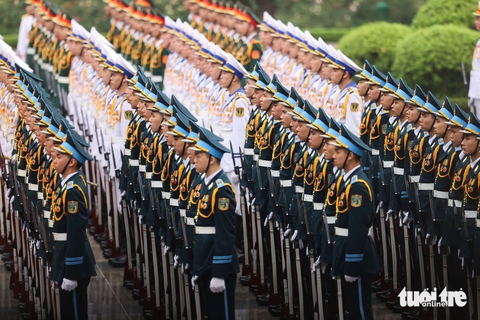 Tổng thống Brazil - Ảnh 2.
