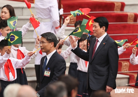 Tổng thống Brazil - Ảnh 3.